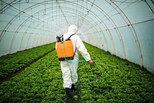 Reliable Montalvin Manor, CA Pest Control Solutions