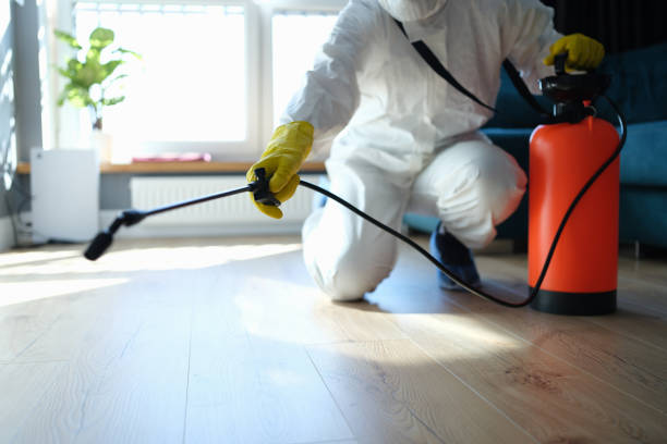 Best Local Pest Control Services  in Montalvin Manor, CA