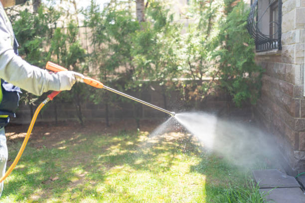 Best Wildlife Control Services  in Montalvin Manor, CA